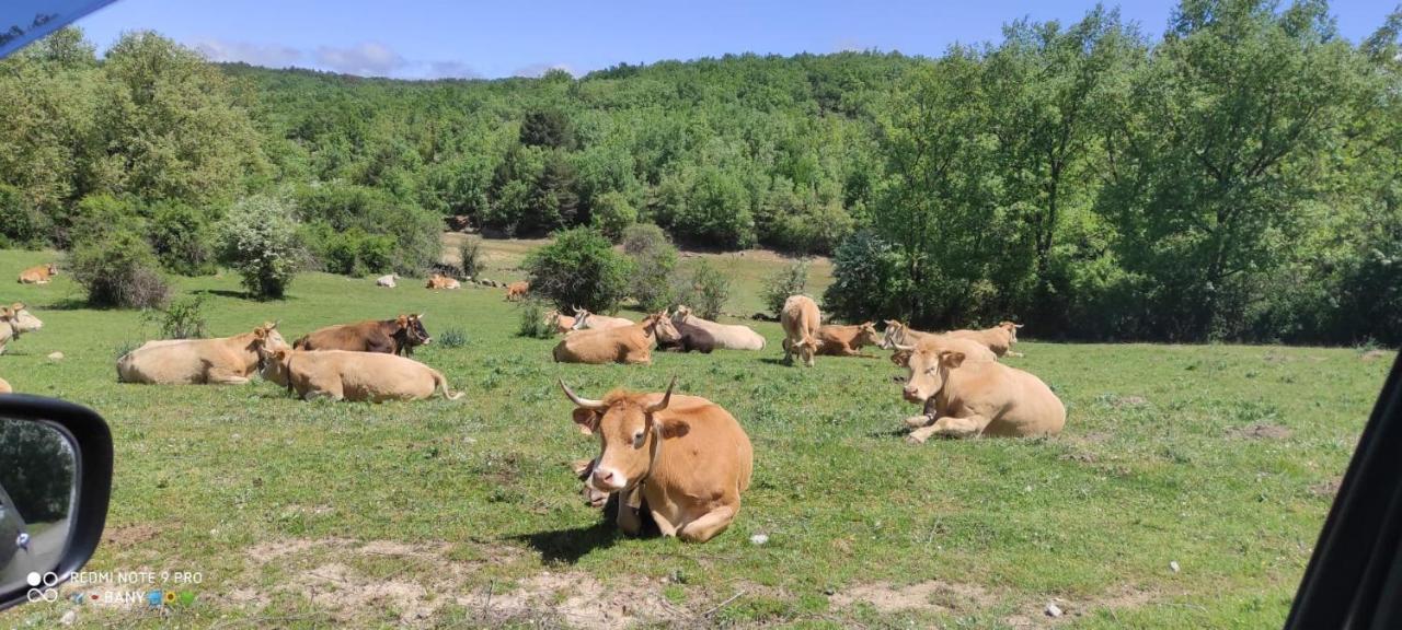 Hostal Rio Duero Molinos de Duero Eksteriør billede